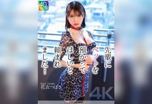 [CRNX-254] [4K] I Was Asked by My Senior to Take Care of Her Pet… Tsubaki Hanai