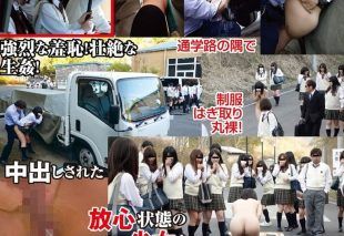[AVOP-604] Natural High 15th anniversary commemorative work: Chikan compilation 2014 Nude school commute chikan