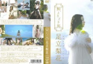 [PCBE-53048] Rika Adachi