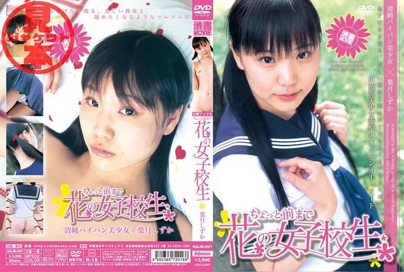 [DCG-02] Shizuka Hazuki – High School Student vol.2 Shibuya Publishing Collection Cover