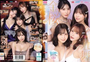 [MIRD-284-MR] Golden cherry blossom nine dances: peak wives. A grand collaboration of exclusive dreams in the Reiwa era, Hinano Kuno, Kaho Kanematsu, Momo Sakakura, and Mayuki Ito. Sakura Momo, Ito Mayuki, Kuno Hinano, Kanematsu Kiho