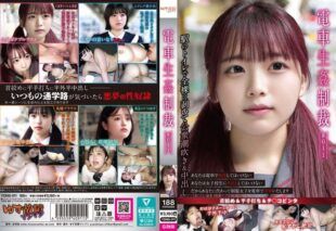 [YDNS-011] Train bareback fucking punishment #011