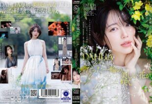 [DLDSS-532] Shock exclusive DAHLIA Misaki Kanna. Just one beautiful flower blooms.